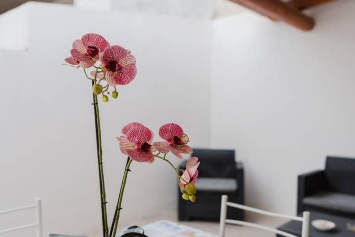 Maresol Villa Marsala Ngoại thất bức ảnh